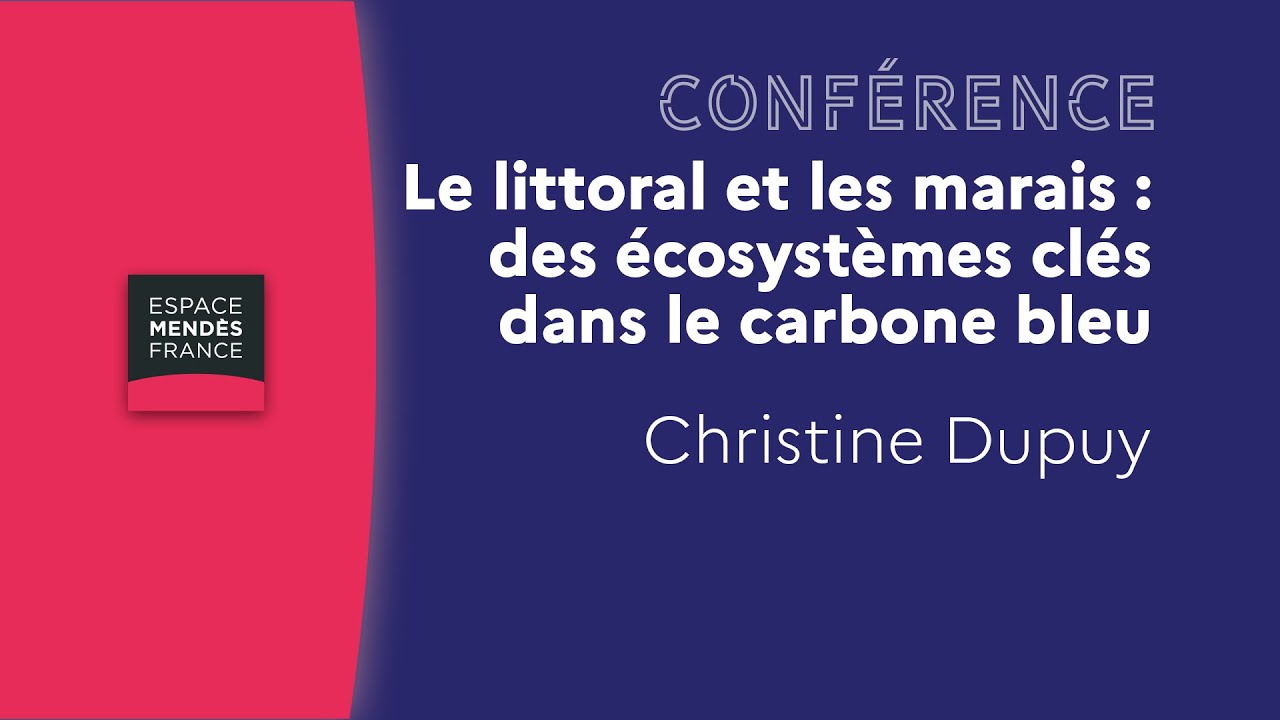 Le littoral et les marais : des écosystèmes clés dans le carbone bleu - Christine Dupuy