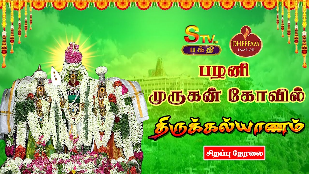 🔴LIVE : பழனி முருகன் கோவில் "திருக்கல்யாணம்" |சிறப்பு நேரலை 