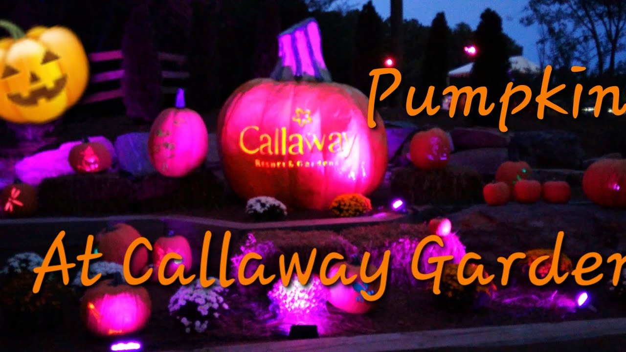 🎃ТЫКВЫ В САДАХ КАЛЛАУЭЙ | ПОЛНОЕ ВПЕЧАТЛЕНИЕ И СИЯНИЕ ТЫКВ [4K]