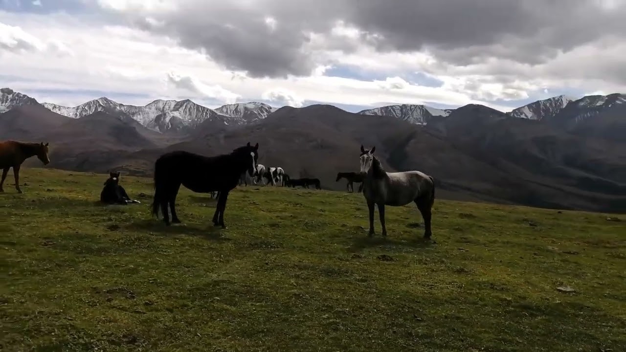 Кайрак - Дон Жайляу - Ассы #моноколесо #горы #euc #eucriders #mountains 