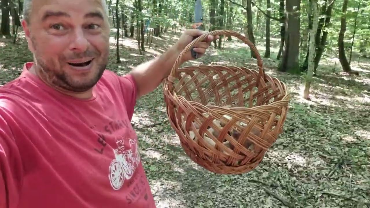Din pădure direct în farfurie - Rețete de sezon: Ciorbă de Hribi și Hribi cu Smântână