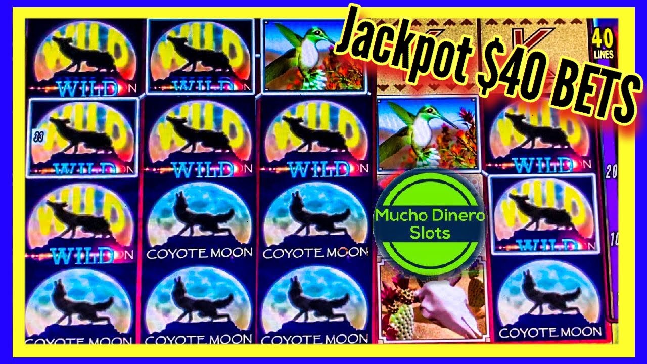 $40 BETS/ COYOTE MOON SLOT MACHINE/ HIGH LIMIT/ JACKPOT/ GRANDE WIN!!