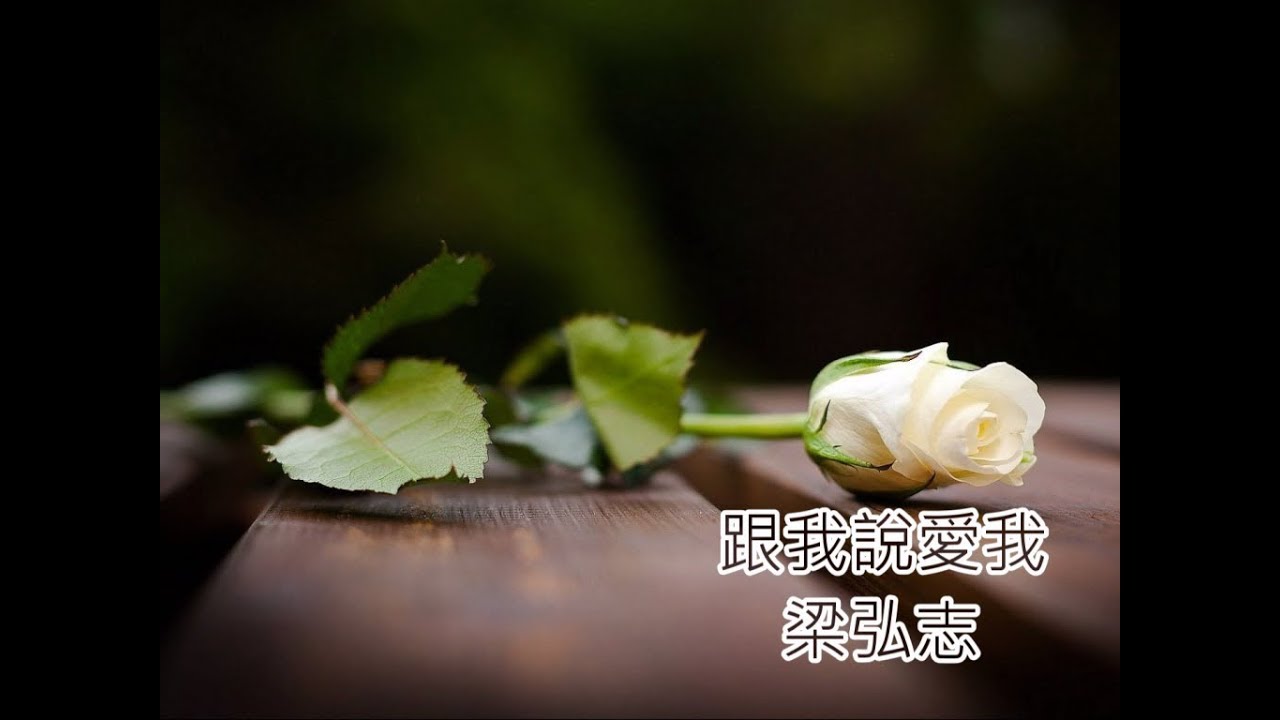 705_跟我說愛我 - 梁弘志（選自「昨天再見」紀念專輯）