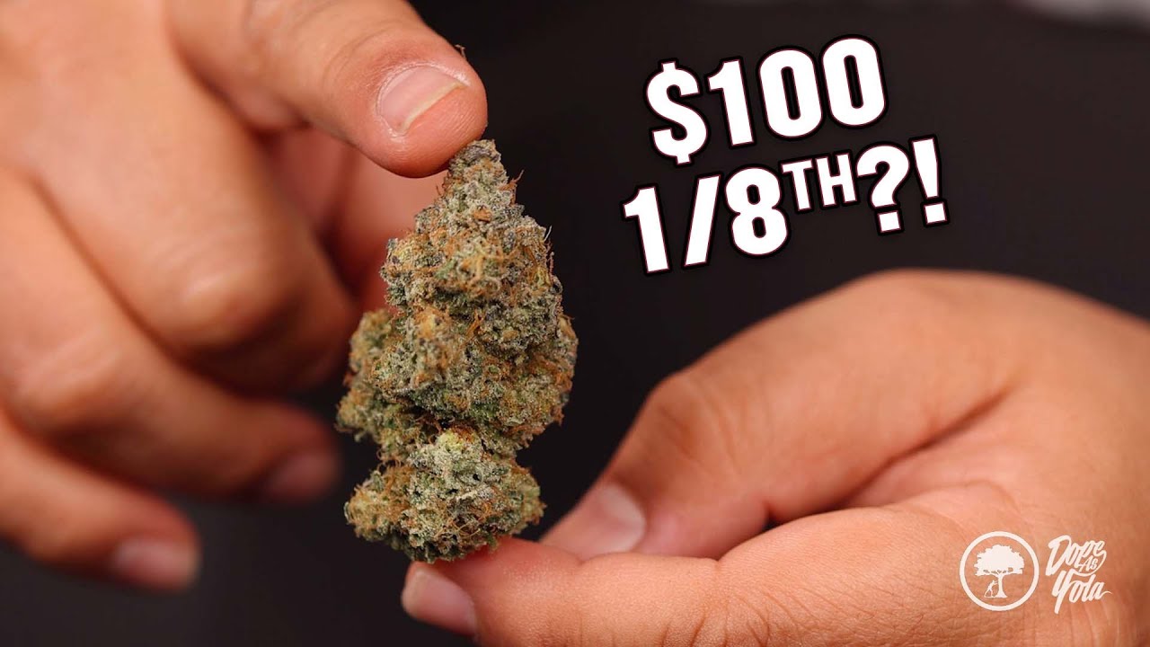 This 8th COSTS $100