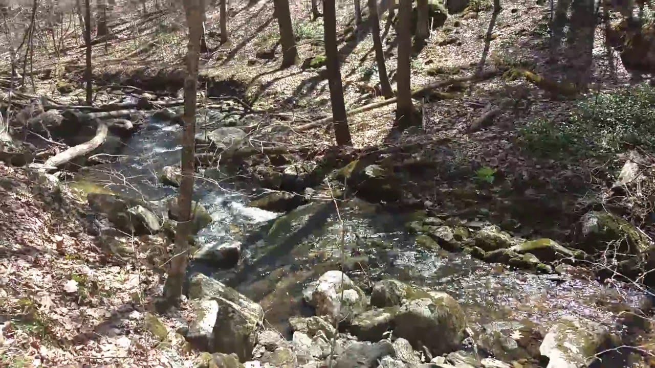 DnSAdventures - Housatonic Meadows State Park - CT