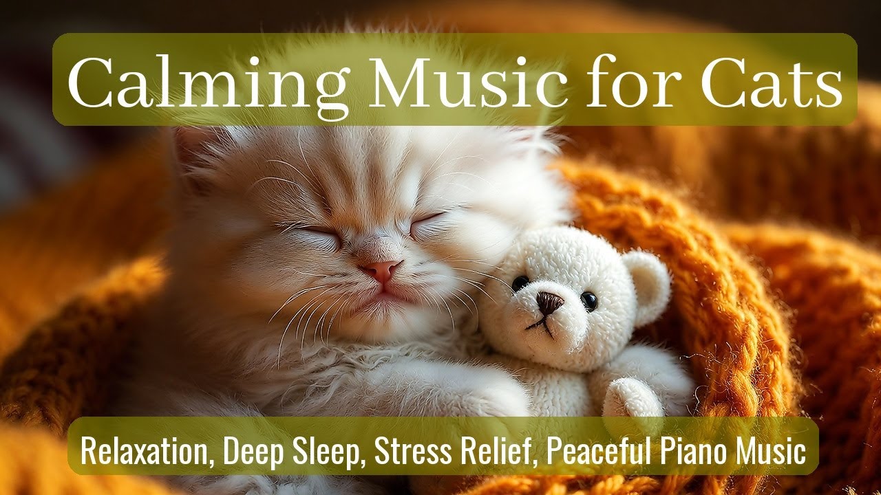 Calming Music for Cats - Relaxation, Deep Sleep, Stress Relief, Peaceful Piano Music | Season 47