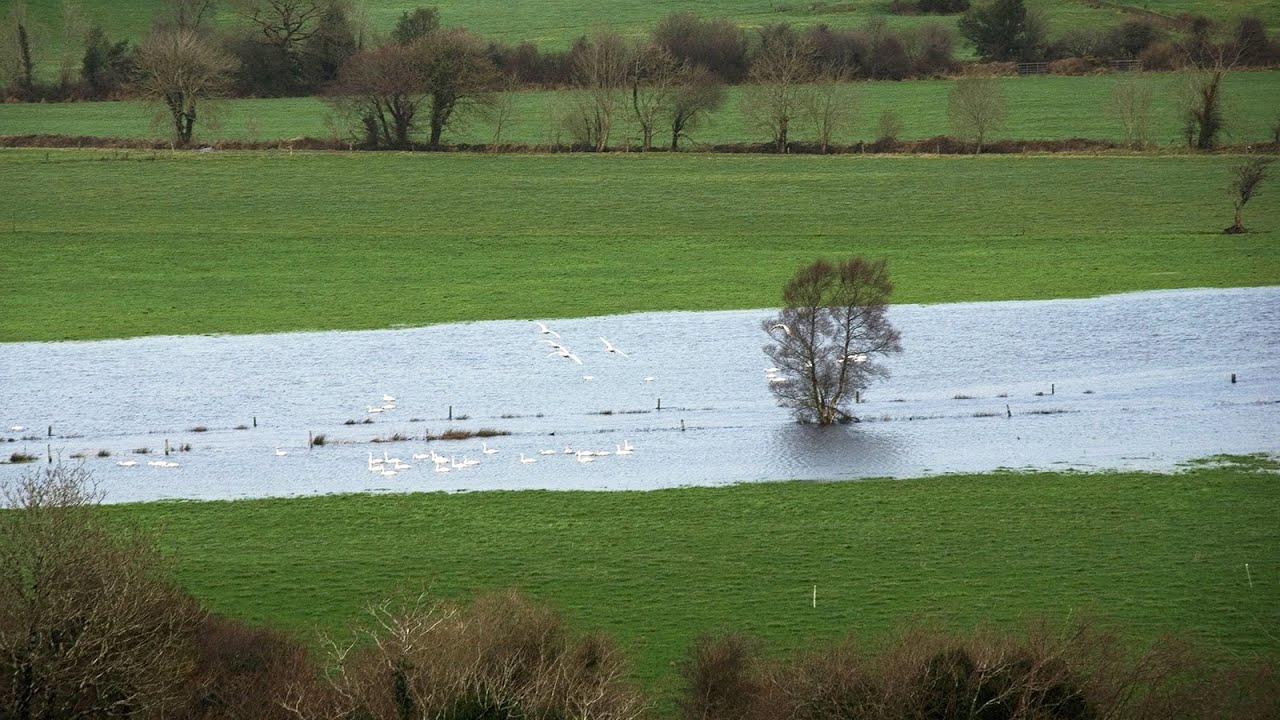 Flood Studies Update (FSU) Methodologies and Web Portal