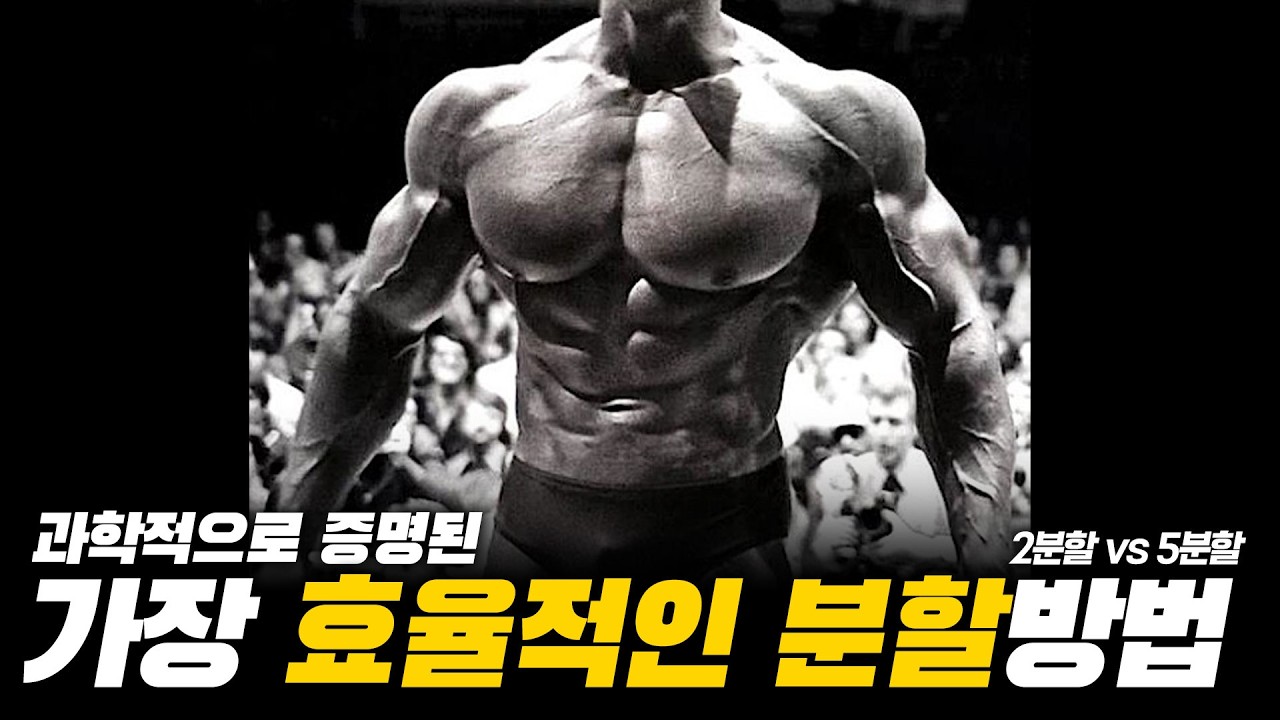 근성장 최적의 분할운동 총정리(2분할 3분할 5분할)