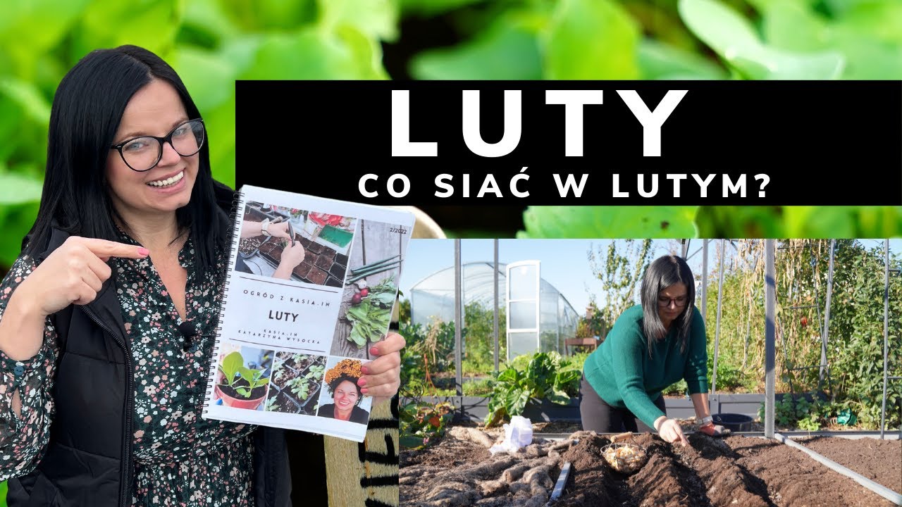 CO SIAĆ W LUTYM. Ogród w lutym, zadania na cały miesiąc. Poradnik Ogrodniczy. Ogrodnictwo Kasia in.