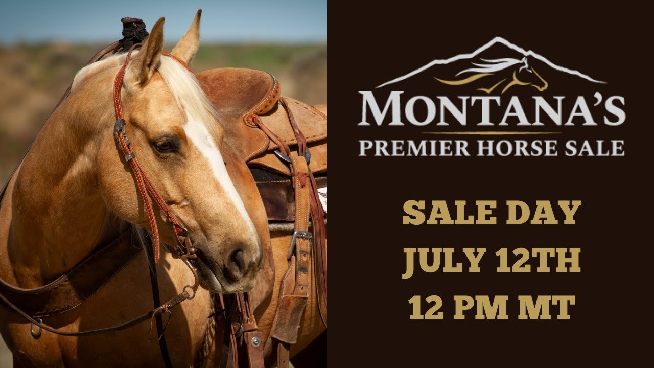 Sale LIVE @ the 2025 Montana's Premier Horse Sale