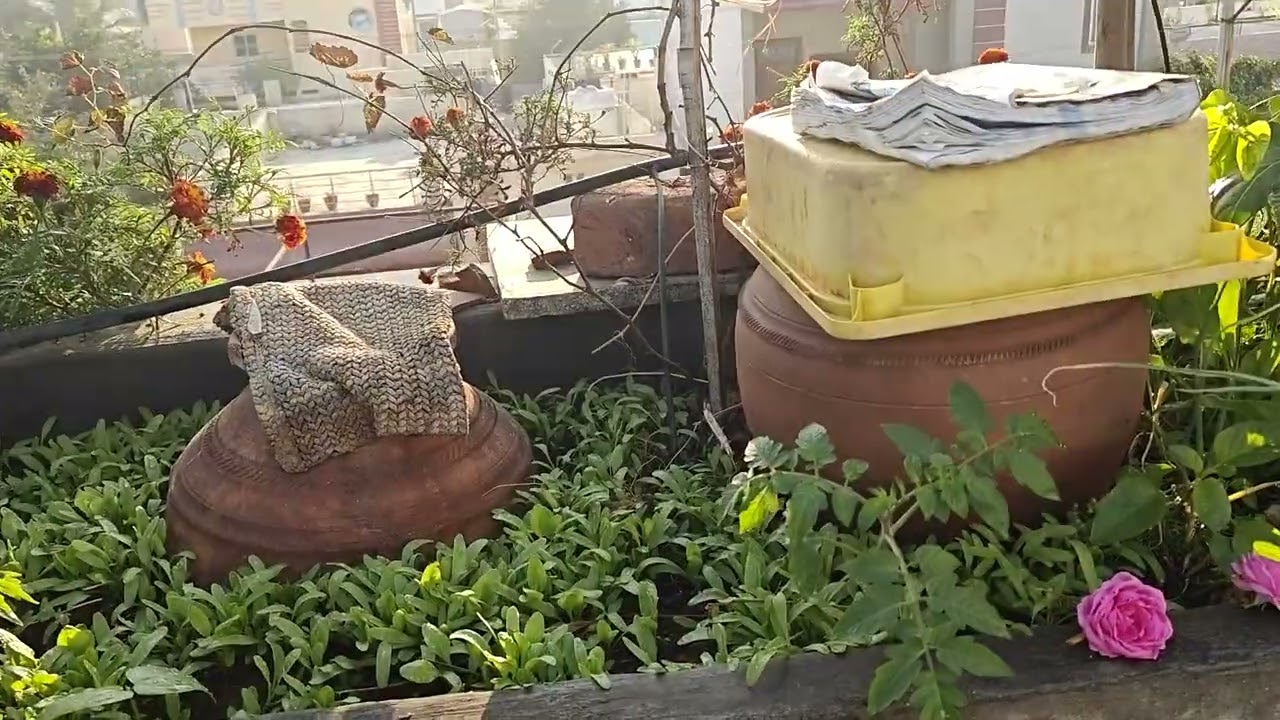 Multilayer on terrace demo 
