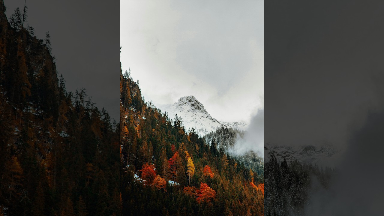 Stillness on the Mountain - Deep Calm Meditation