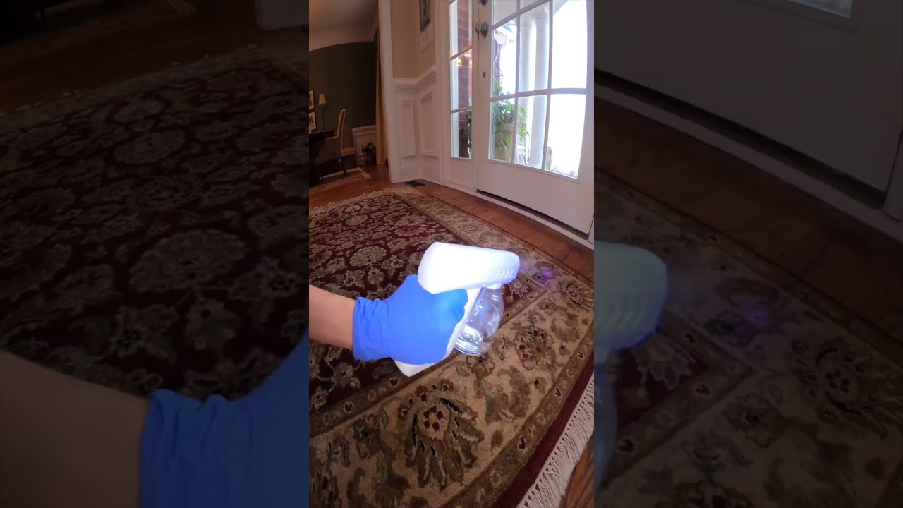 HOW TO SPRAY INSIDE and OUTSIDE YOUR HOME | BUGSPRAY.COM   