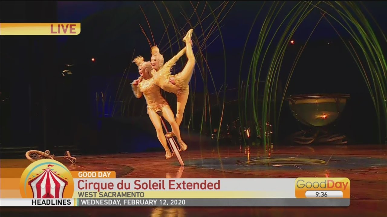 Amaluna Extends Shows