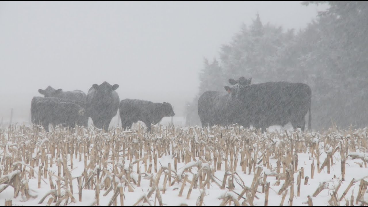 U.S. and South America Weather - Bryce Anderson - December 26, 2014