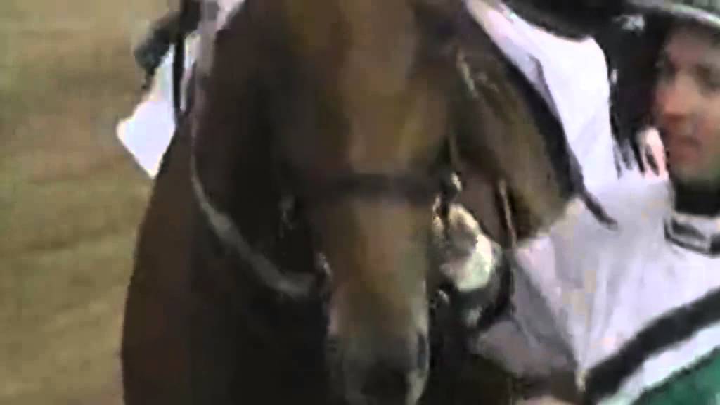 L'ADDIO DI MONI MAKER servizio di CLASS HORSE TV