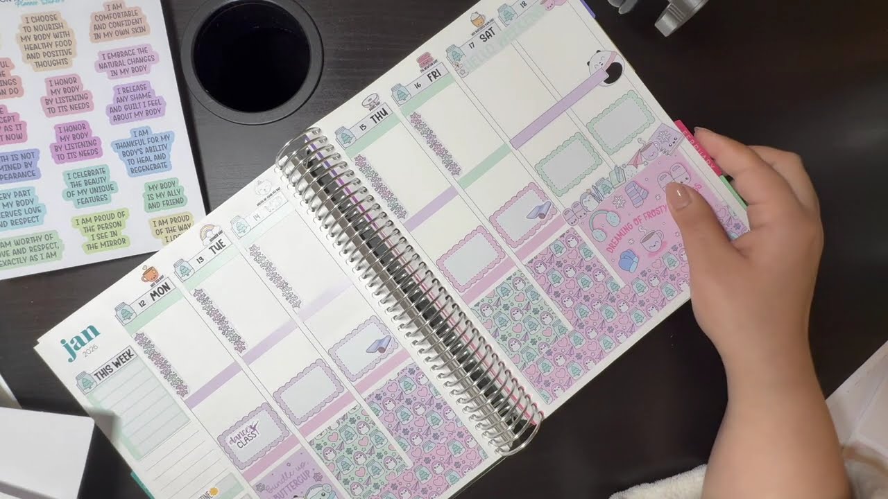 Plan With Me: Week of Jan 12 | Health + Fitness Reset + Habit Tracking  Functional EC Vertical Setup