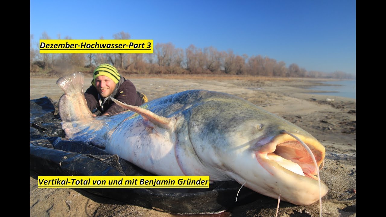 Dezember Hochwasser Part 3/Indianer Fischen/Vertikal-Total