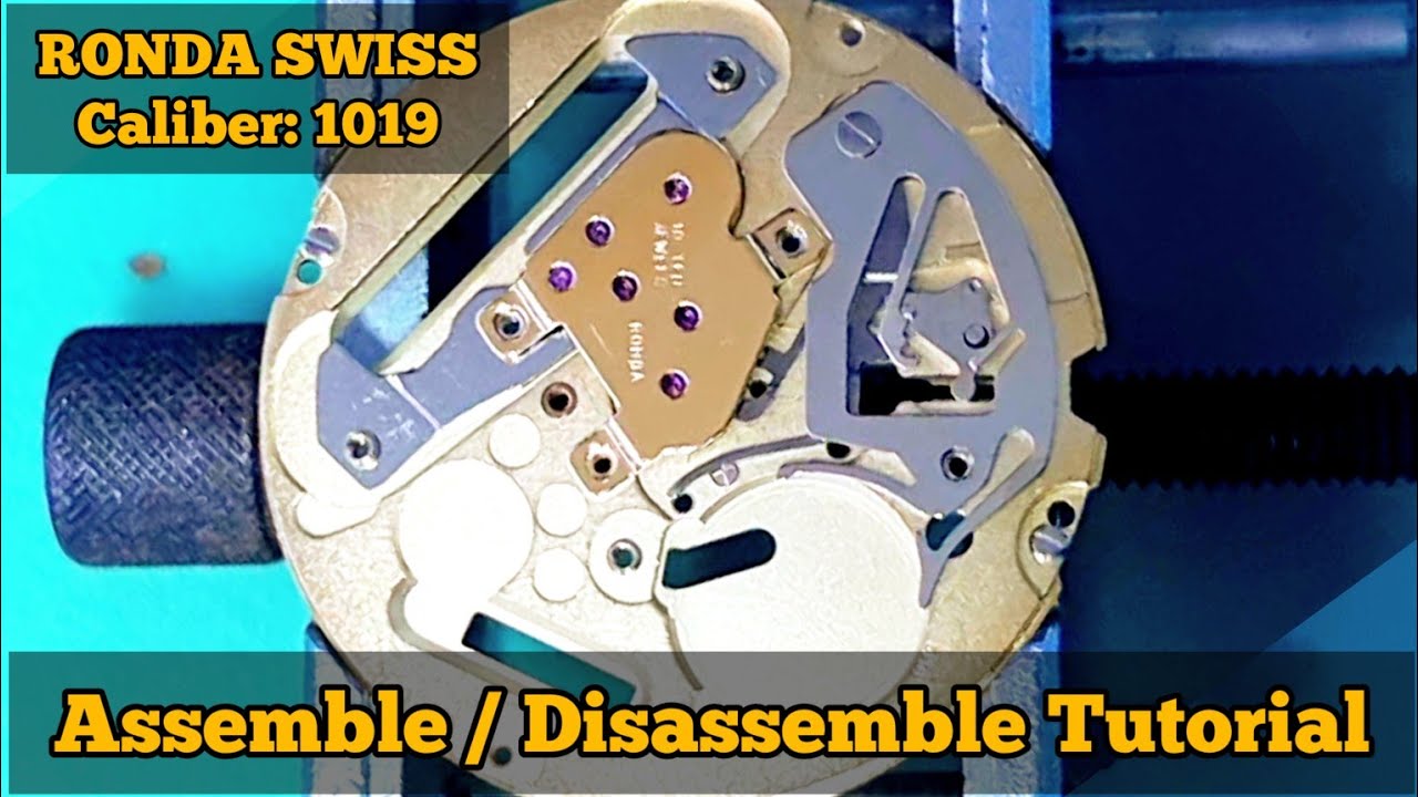 Assemble Disassemble Tutorial RONDA 1019 Swiss Movement