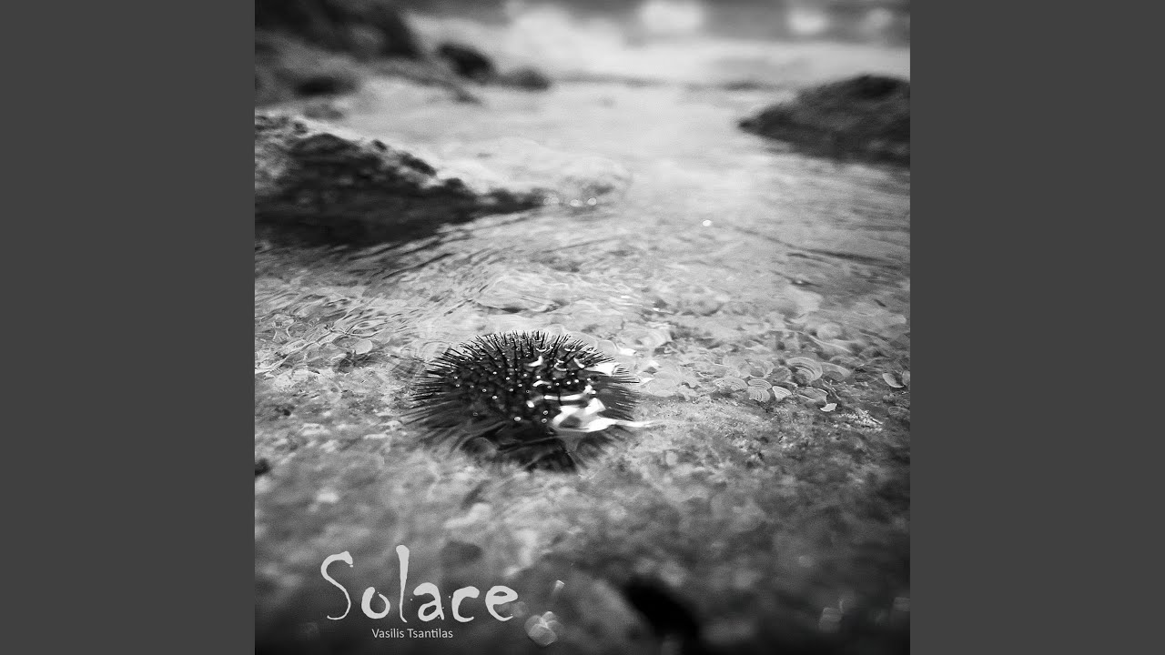 Solace