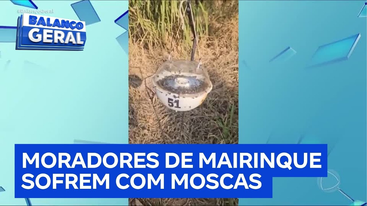 Moradores de condomínio de chácaras de luxo sofrem com enxames de moscas no interior de SP