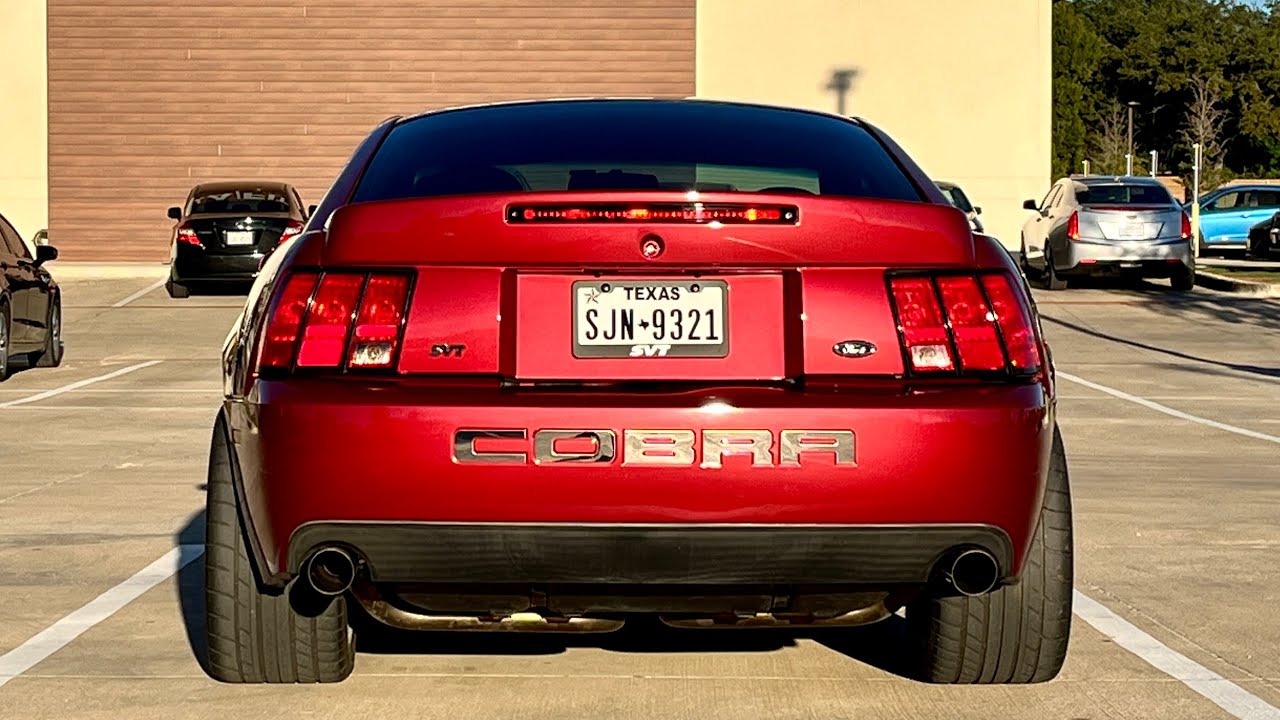 Review of my 500HP Terminator SVT Cobra