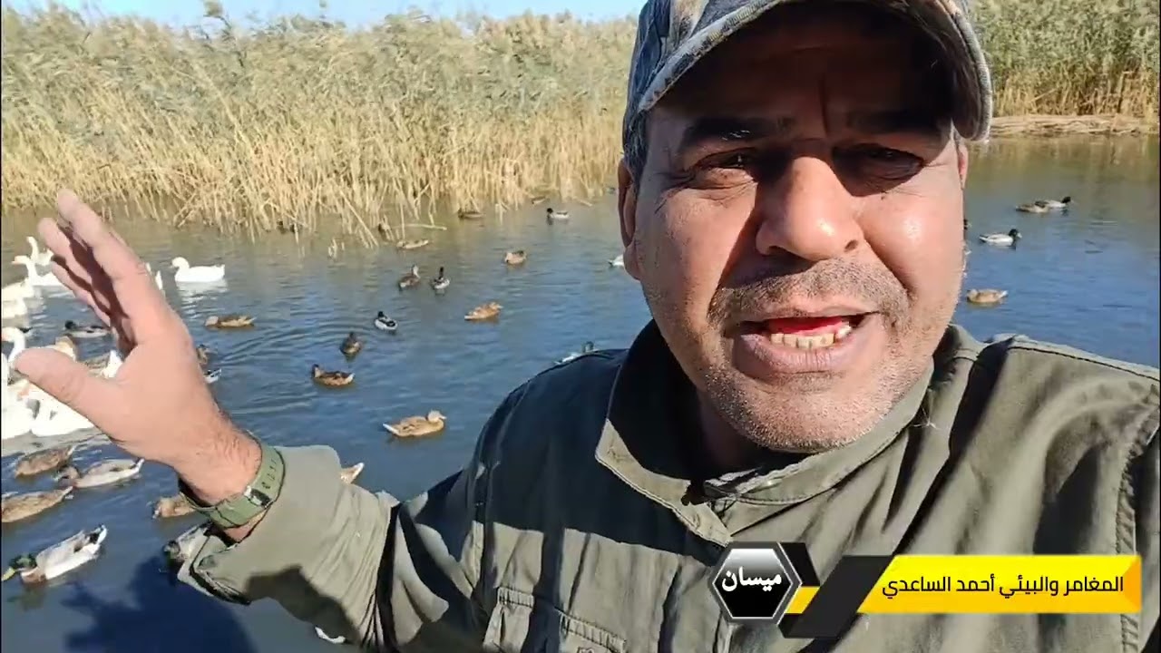 الطيور تجد بيئاتها المناسبة عبر التكيف مع الموارد المتاحة  القصب والبردي 