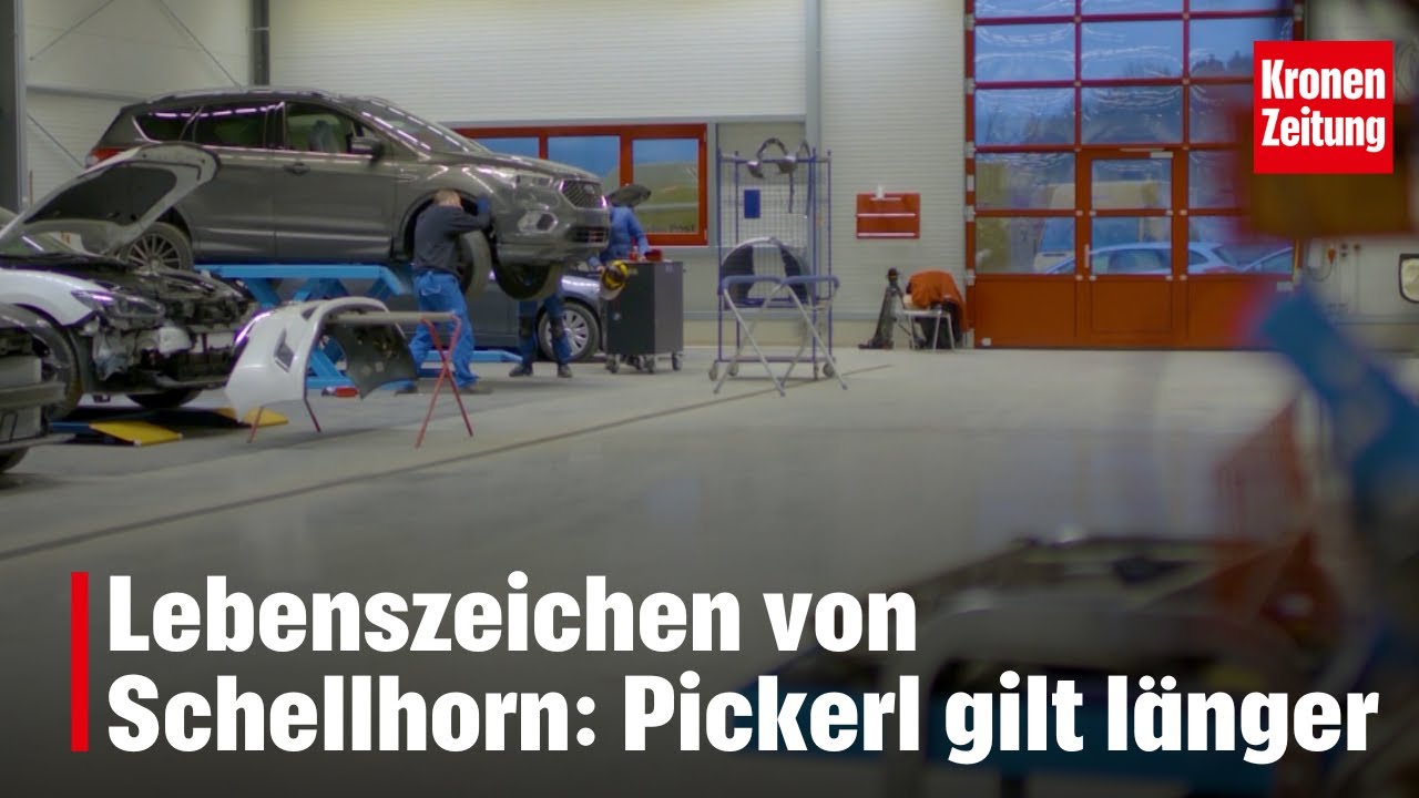 114 Regeln vor Aus - Lebenszeichen von Schellhorn: Pickerl gilt l&auml;nger | krone.tv NEWS