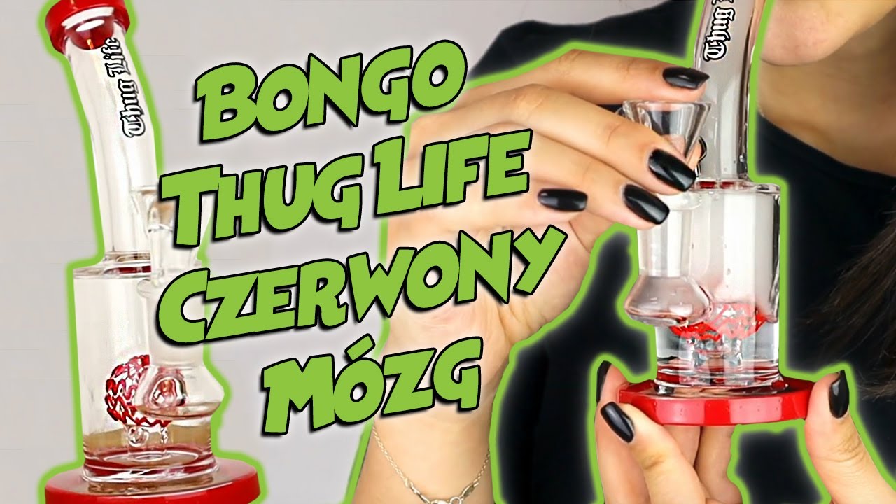Prezentacja Bonga Thug Life Czerwony M&oacute;zg BS430