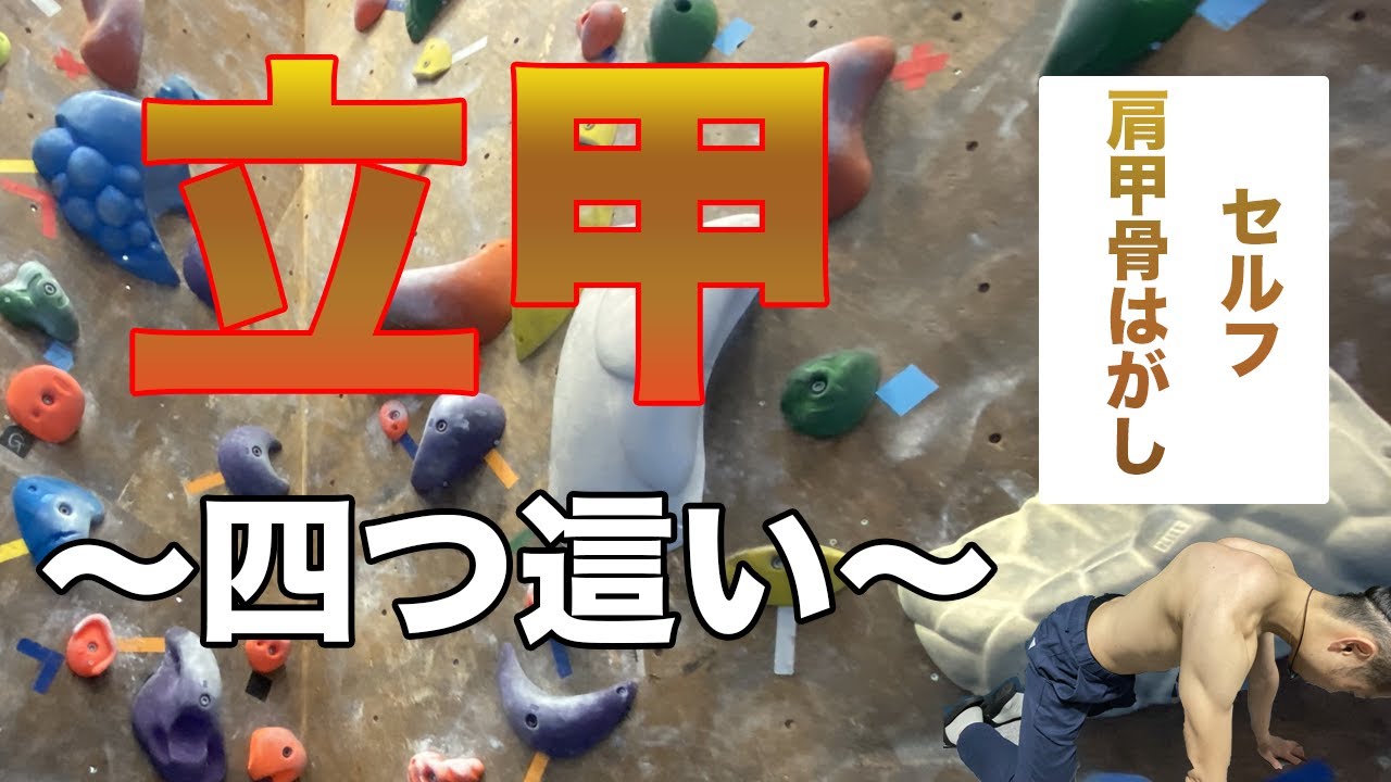 立甲！！肩甲骨の出し方〜四つ這いversion〜セルフ肩甲骨はがし