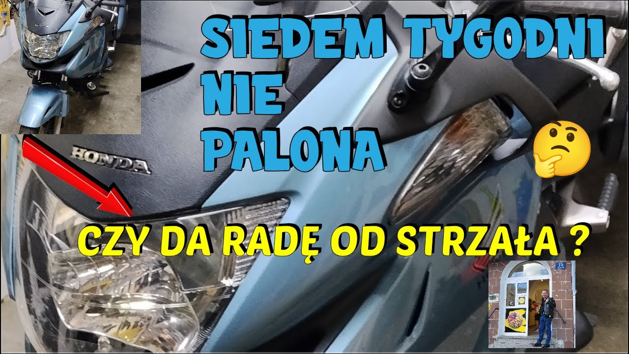 SIEDEM TYGODNI NIE PALONA CZY DA RADĘ OD STRZAŁA
