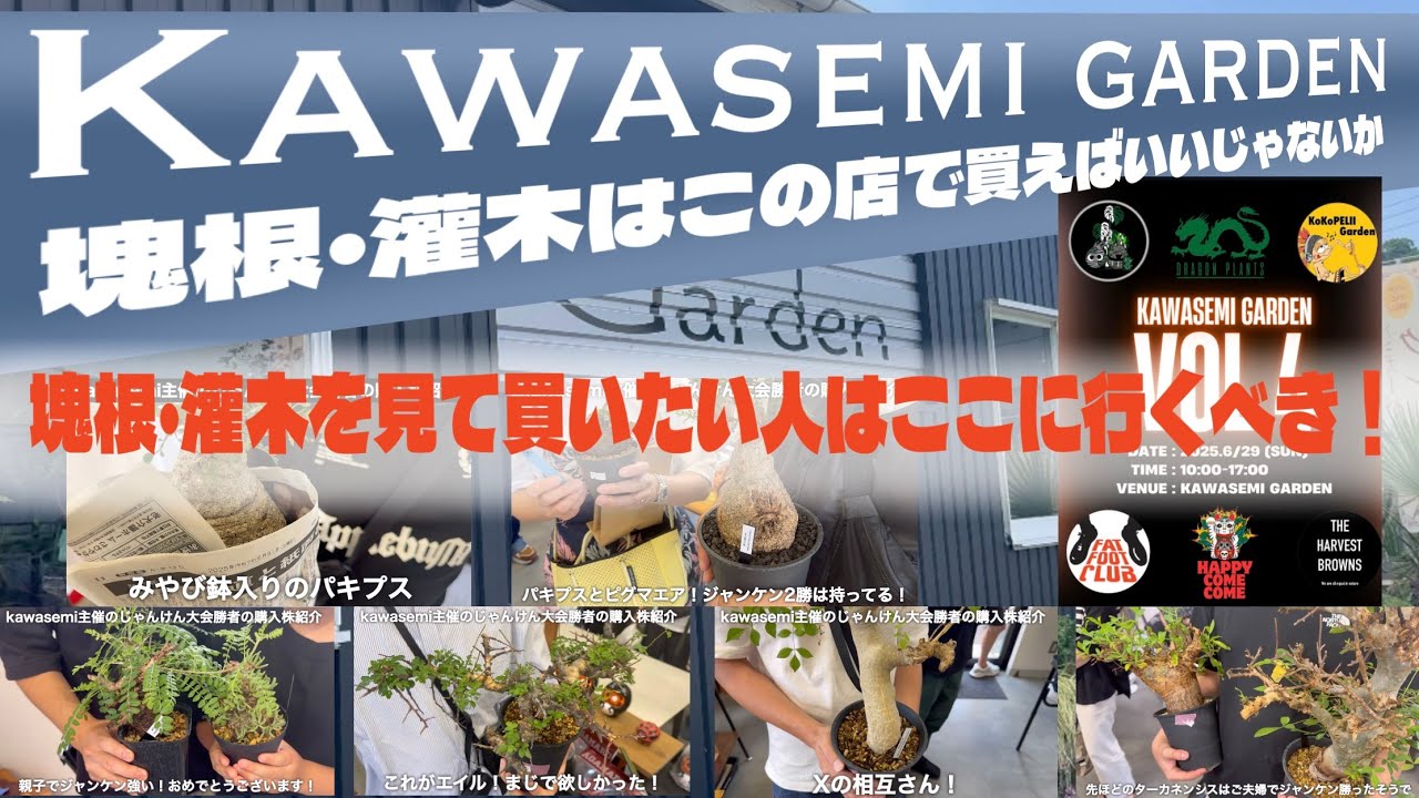 #46【植物イベント】Kawasemi Garden主催のとんでもないイベントに潜入！塊根灌木好きが行くべき店