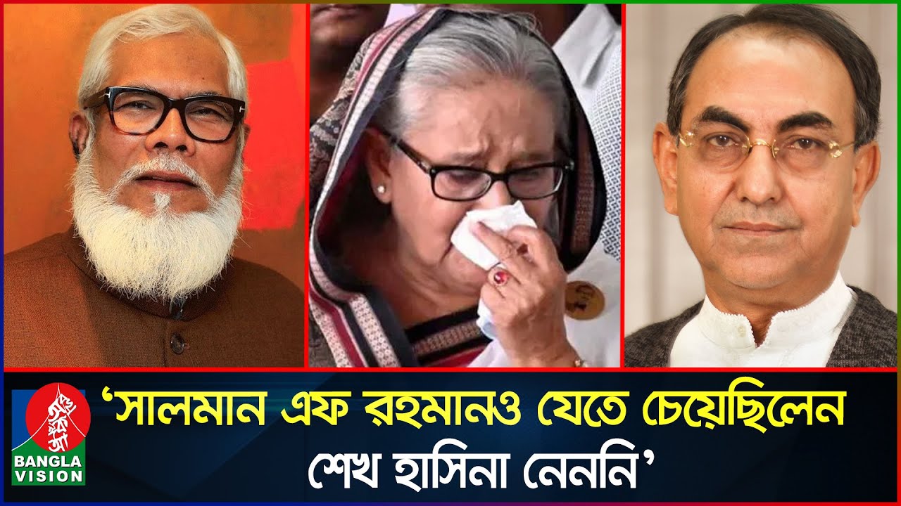 শেখ হাসিনা কীভাবে পালিয়েছেন, জানালেন মির্জা আব্বাস | Mirza Abbas | BNP | Banglavision News