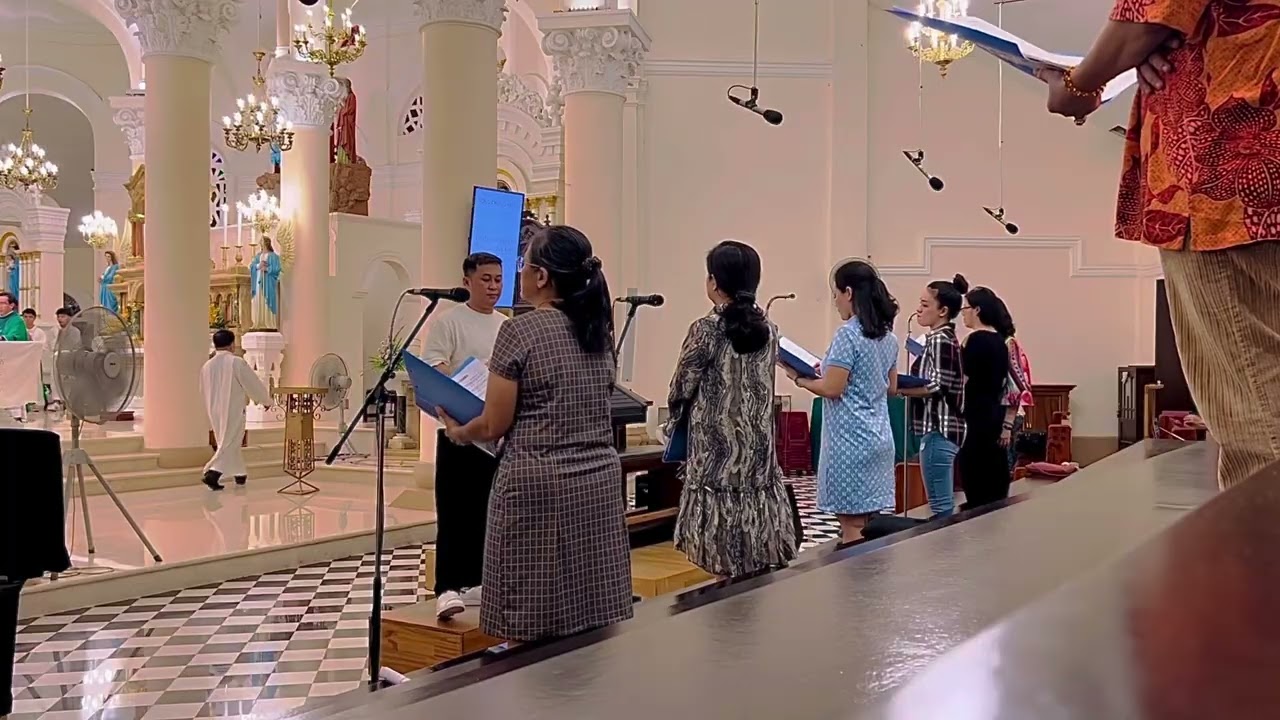 Thánh lễ tại nhà thờ Tân Định 