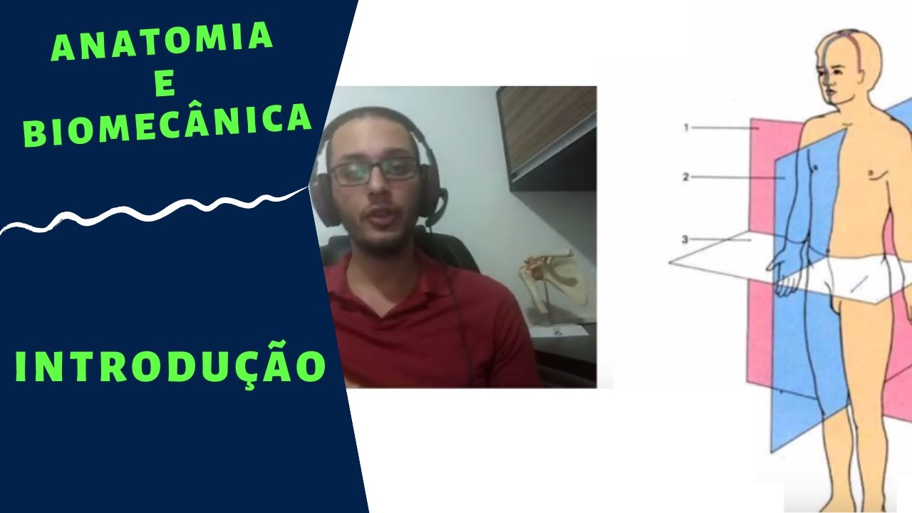 Anatomia - Introdução / Planos e Eixos