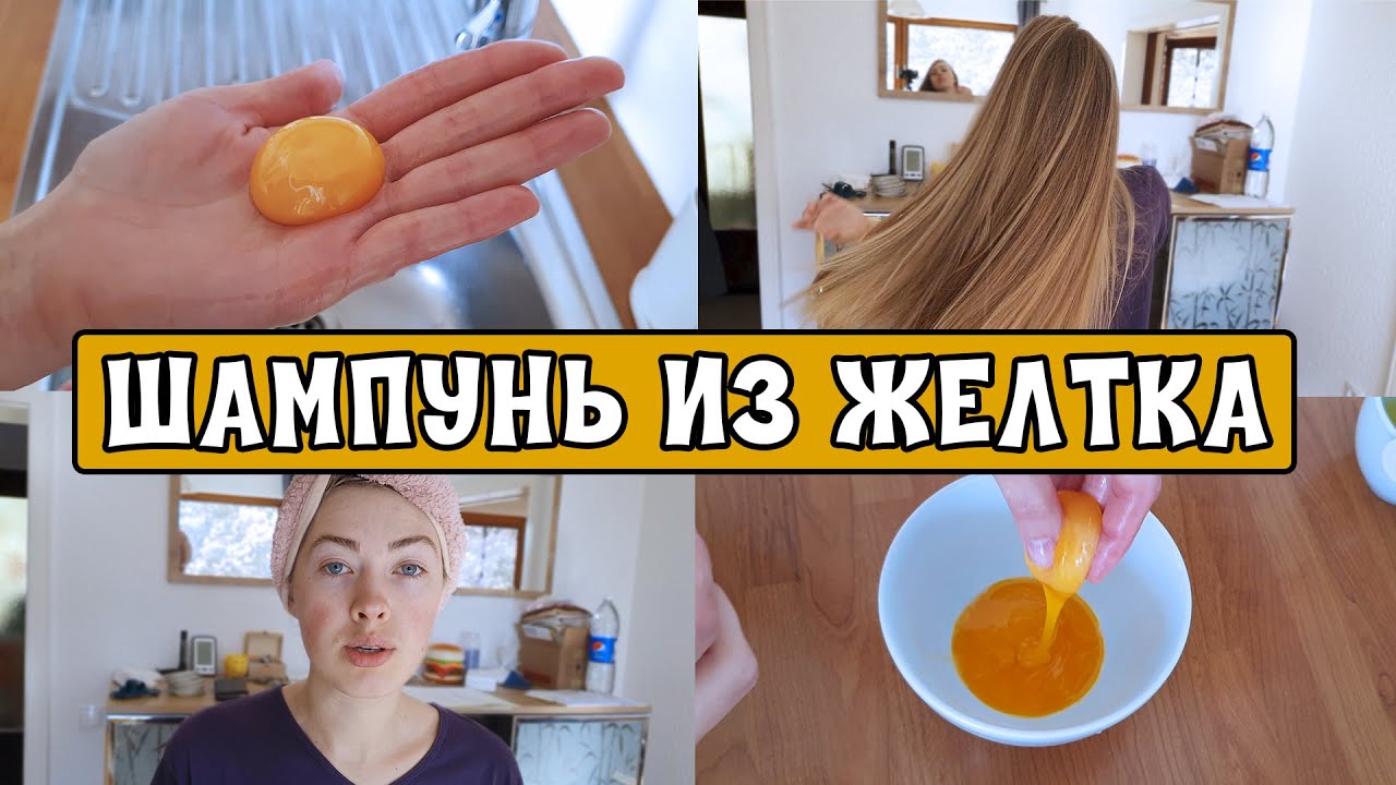 ПРОВЕРКА! Вся Правда! ШАМПУНЬ из ЯИЦ своими руками Натуральный шампунь из желтка Svitanka