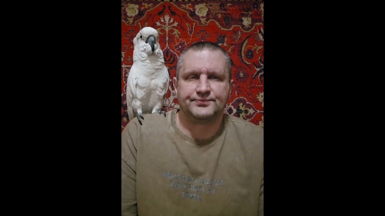 ЧЕМ НЕЛЬЗЯ КОРМИТЬ ПОПУГАЯ?