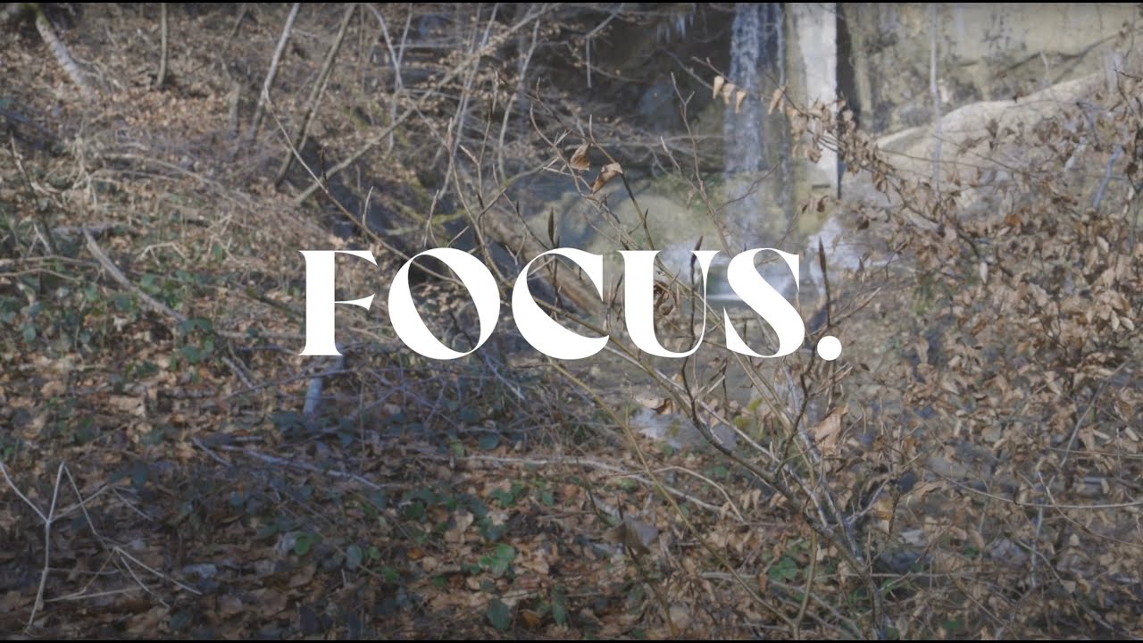 focus. sur Matthieu Gafsou