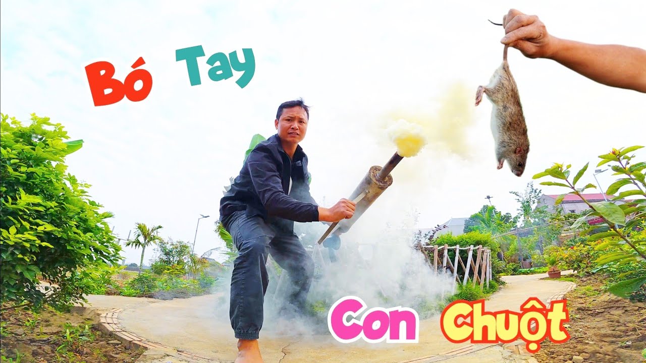 Soi Chạch Đêm Về Nuôi Làm Cảnh Và Dình Bắt Bằng Được Con Chuột Đùn Bể Cá / Quế Nghịch