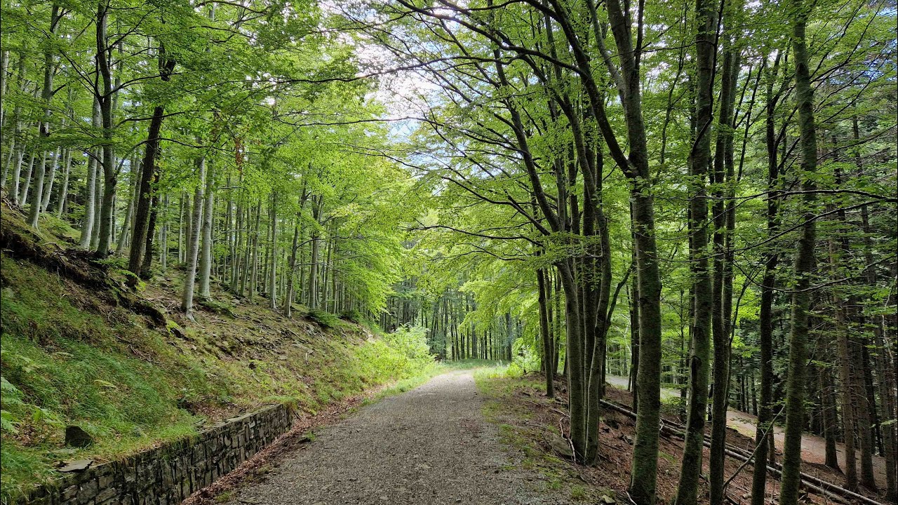 Trekking da Pianaccio Segavecchia ai Bagnadori