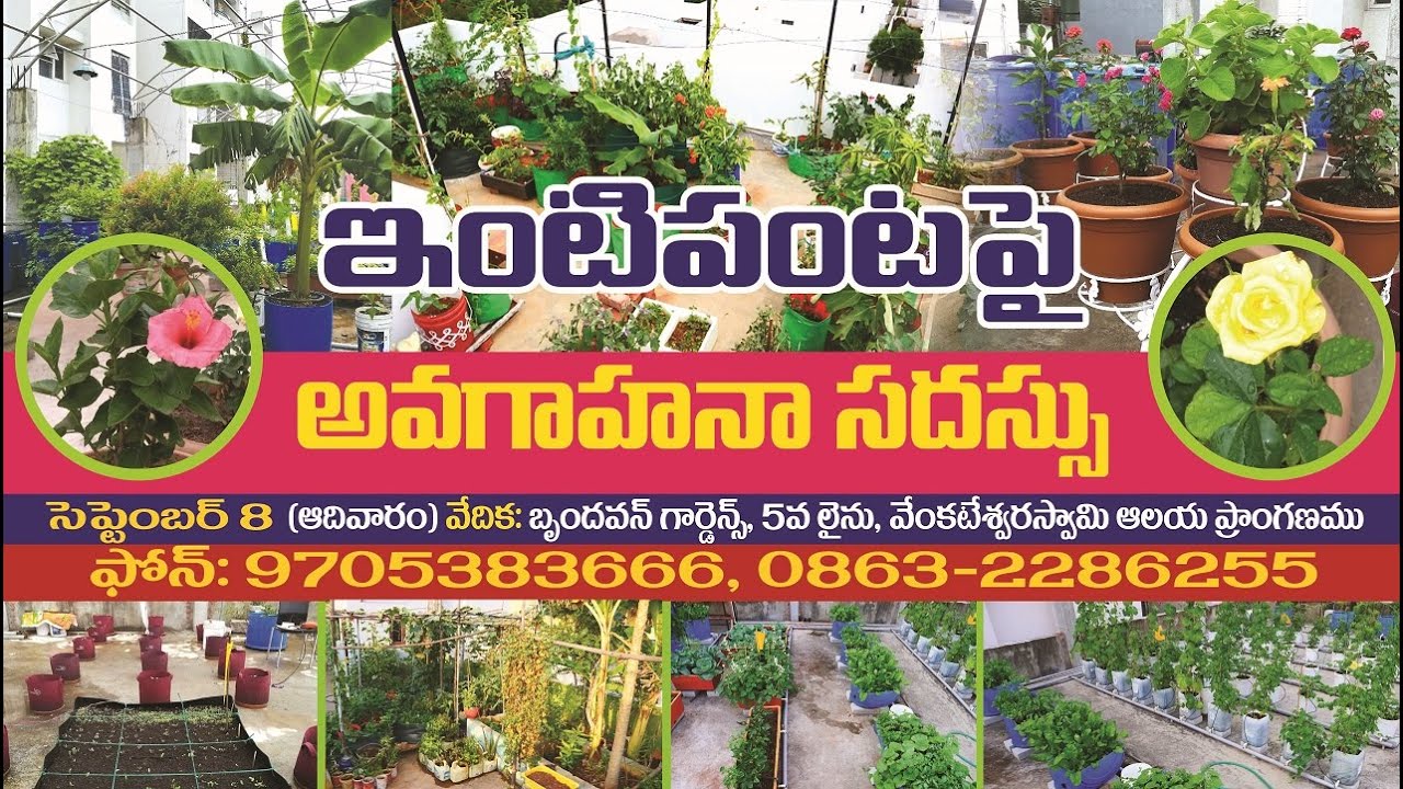 Awareness Program on Inti Panta / Terrace Garden / Balcony Gardening | Sep 8 | Guntur | 9705383666