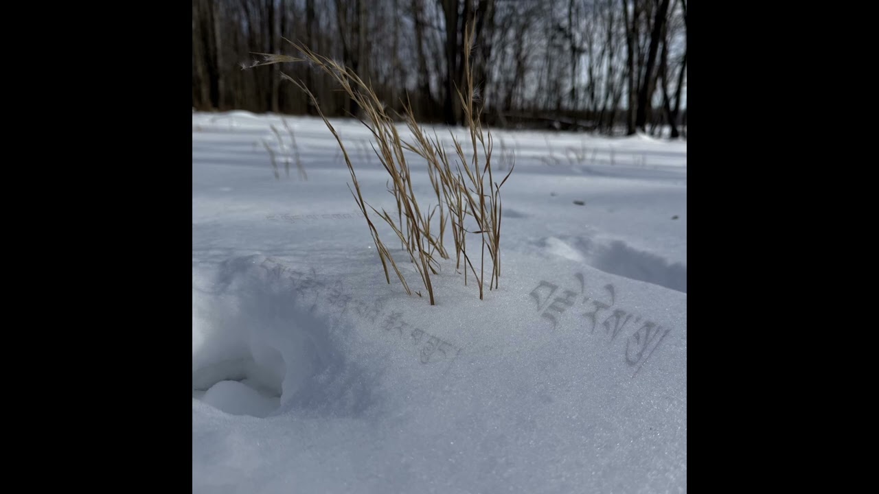 Next Spring Is Soon