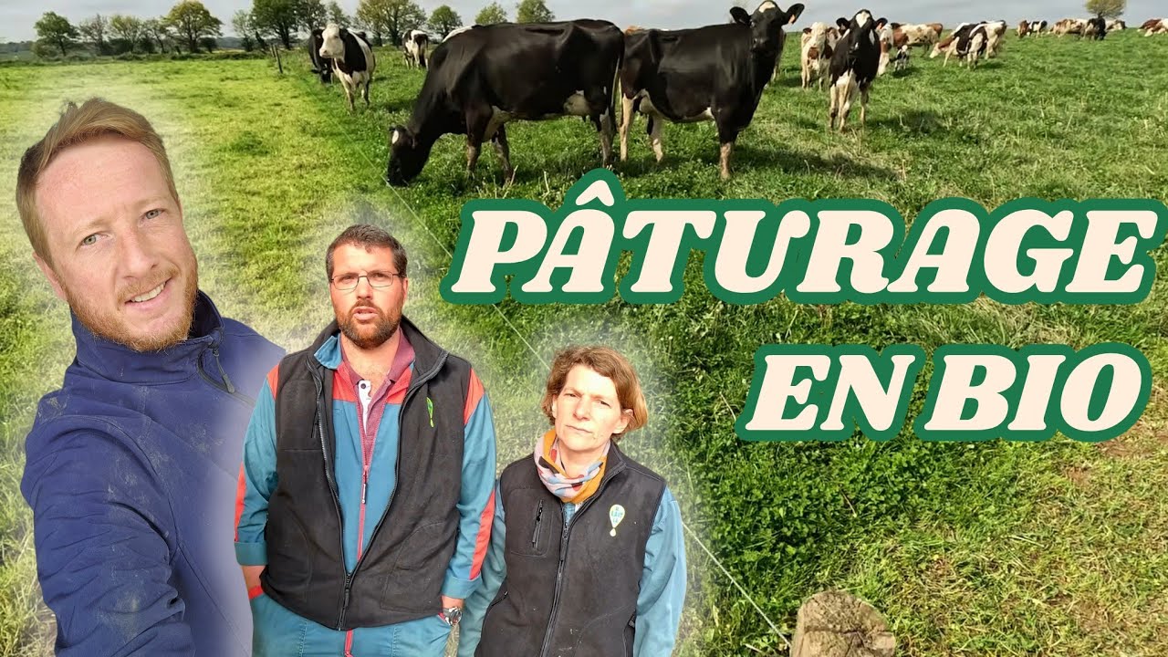 P&Acirc;TURAGE ET BIO !! Je visite une belle ferme laiti&egrave;re