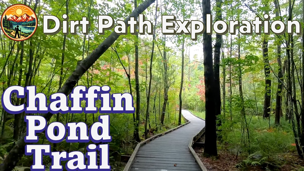 Chaffin Pond Trail Review | Windham, Maine | Dirt Path Exploration #owl #hiking #outdoors