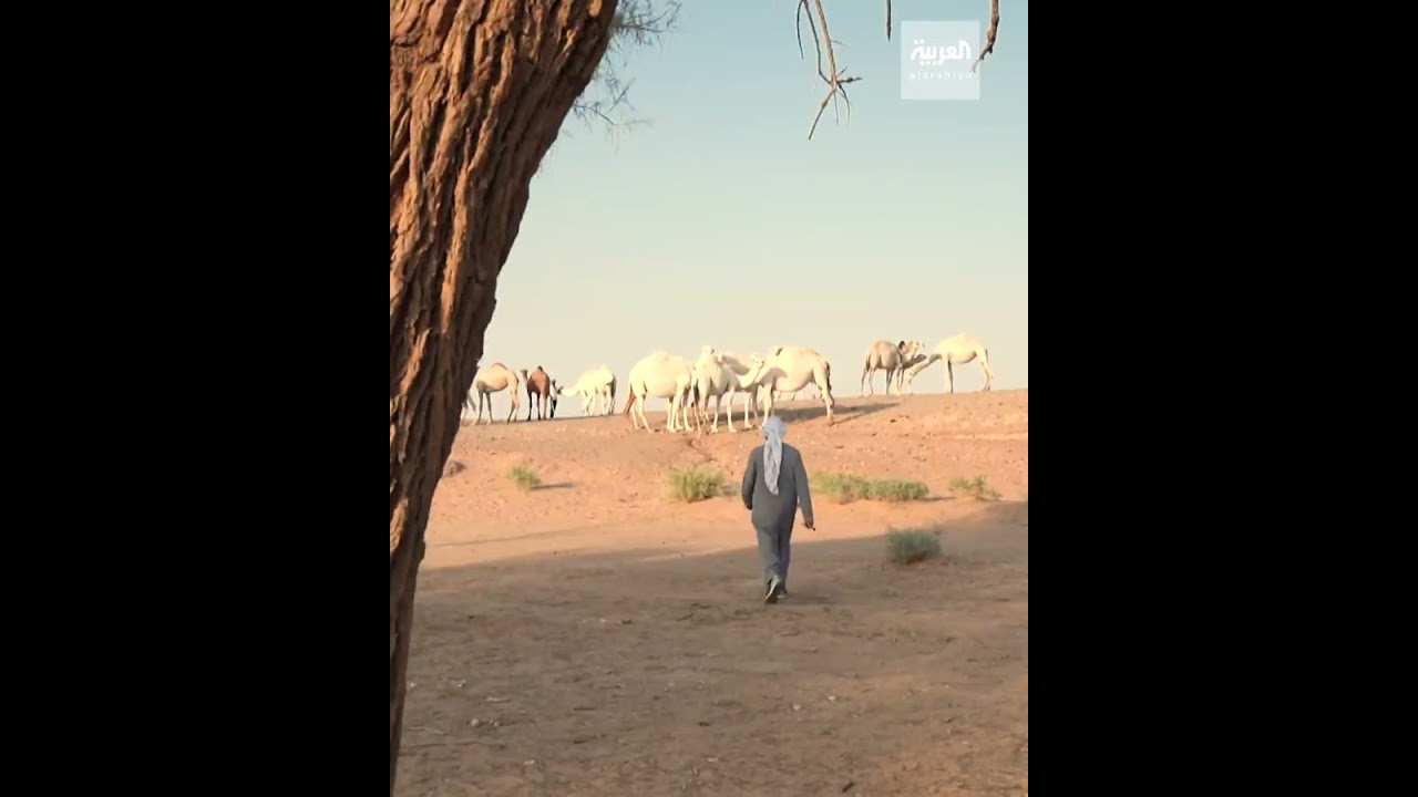 يوم الثلاثاء 2021/10/12 أول الوسم