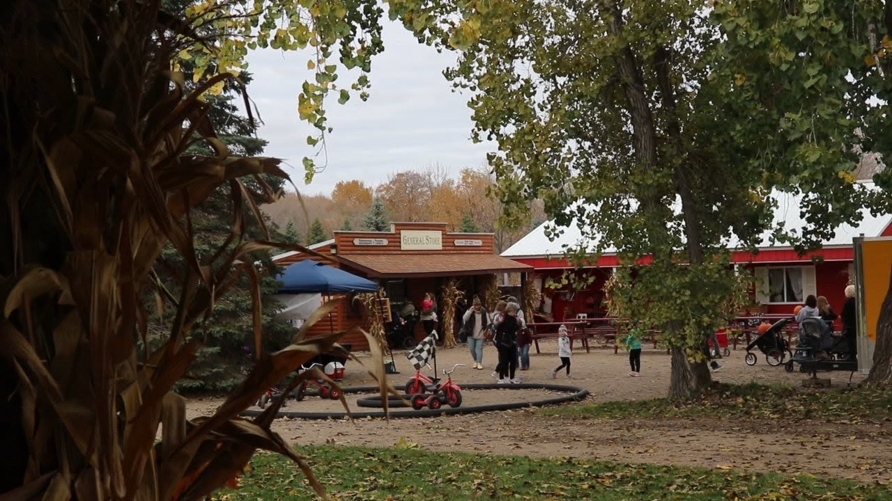 AgweekTV: MN Pumpkin Patch Offers Many Fun Fall Activities