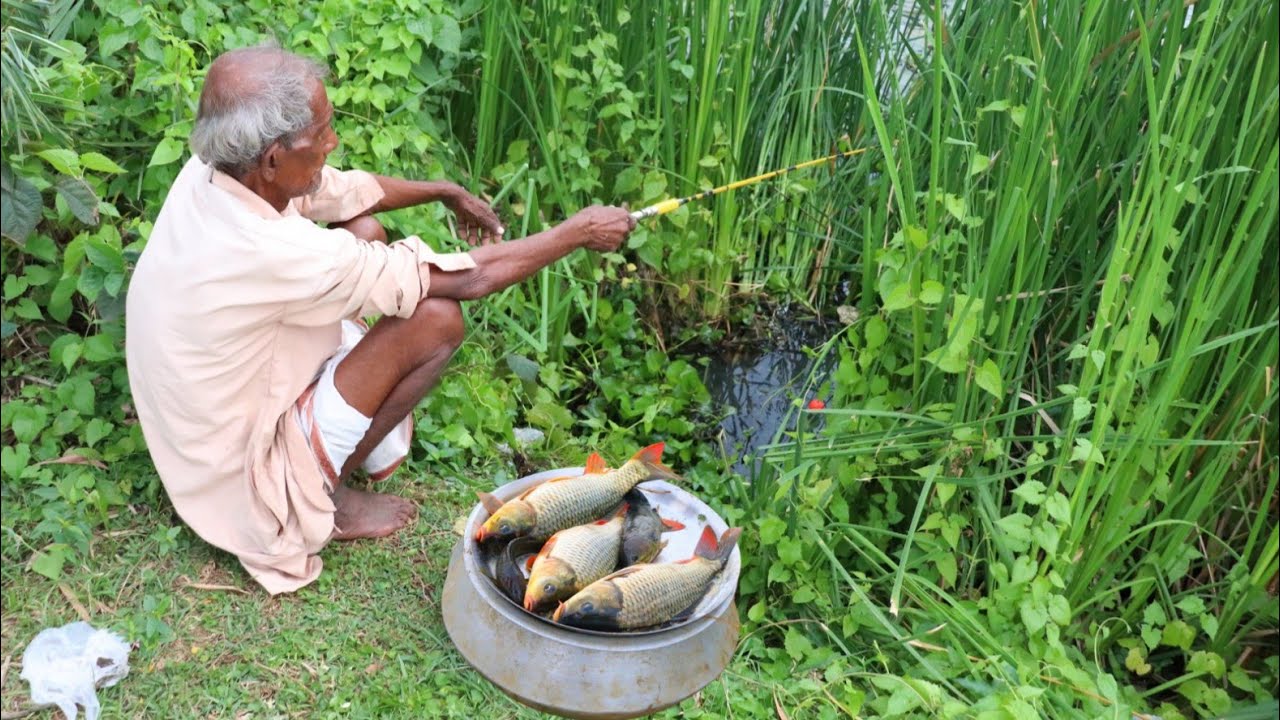 Fishing Video || Grandpa showed everyone the easy way to catch fish by cleaning his pond || Fishing