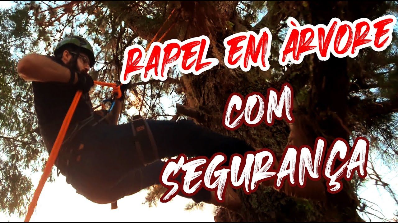 Como escalar uma àrvore com segurança