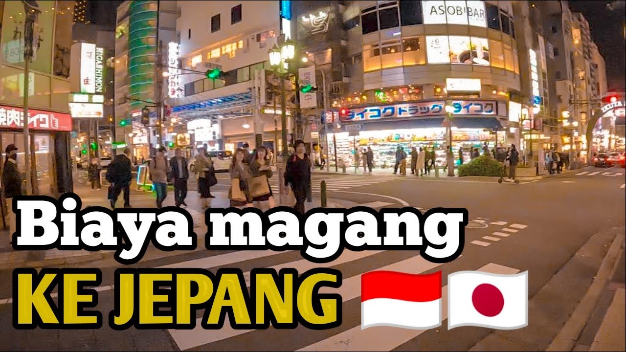 BIAYA MAGANG KE JEPANG JALUR IMM JAPAN🇮🇩🇯🇵