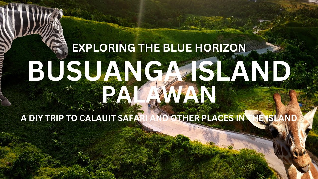 A DIY Road Trip in Busuanga Island & Coron Town (Calauit Safari, Maquinit Hot Spring and others)